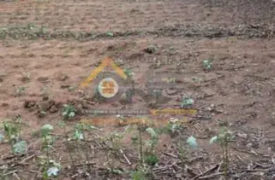 Terreno para locação - recanto campestre internacional de viracopos gleba 3 - indaiatuba/sp