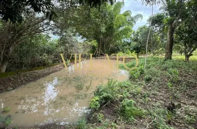 Chácara / sítio com 3 quartos à venda na Rua 36, 80, Residencial Triunfo, Goianira