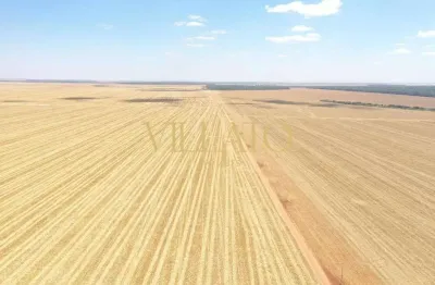 Fazenda à venda na Avenida Cuiabá, 857, Centro, Querência
