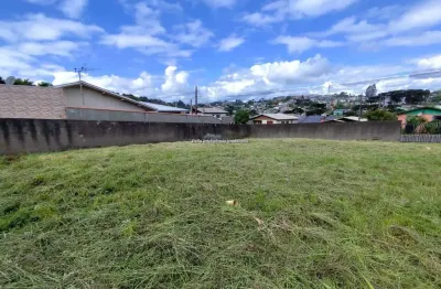 Terreno à venda na octacilio trindade cordeiro, 2, martello, caçador por r$ 180.000