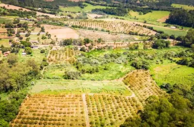Chácara / sítio à venda na estrada leopoldino bortolossi, mombuca, itatiba, 96600 m2 por r$ 3.800.000