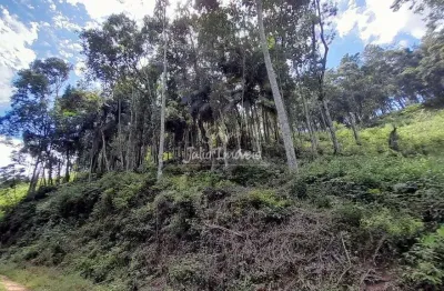 Terreno à venda no Cedrinho, Brusque 