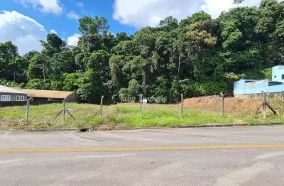 Terreno comercial para alugar no Planalto, Brusque 