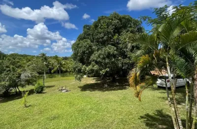 Sítio à venda - propriedade arborizada com casa principal, arvores frutiferas, poço artesiano e fonte de água!