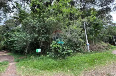 Terreno amavale de 4480m² em teresópolis: oportunidade!