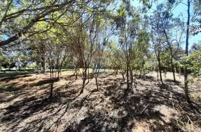 Terreno à venda na Estrada das Magnólias, 1-4-A2-3-4, Albuquerque, Teresópolis