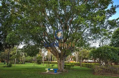 Terreno em condomínio fechado à venda na rua alfredo gomes júlio, 130, parque xangrilá, campinas por r$ 520.000