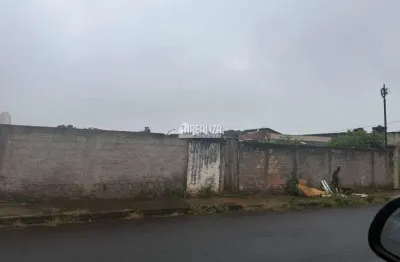 Terreno a venda no bairro santa maria, uberaba | oportunidade imperdivel!