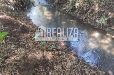 Chácara / sítio com 5 quartos à venda na Zona Rural, Delta 