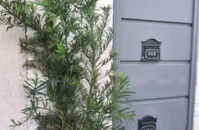 Casa com 1 dormitório para alugar, 40 m² por r$ 1.040,00/mês - gopoúva - guarulhos/sp