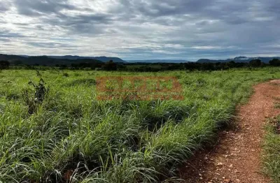 Fazenda com 3 salas à venda na rua jocelim gomes pires, loteamento leão, catalão, 2000 m2 por r$ 45.000.000