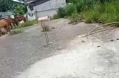 Terreno de 675 m2 na parada XV de novembro paralelo à radial leste