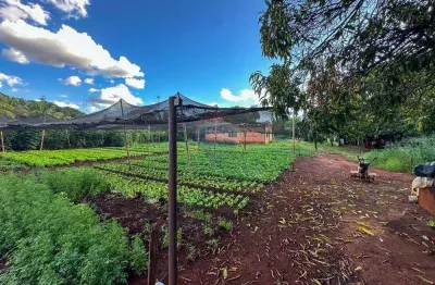 Terreno para venda,  4020m² - antônio marincek - ribeirão preto