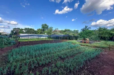 Terreno para venda,  4020m² - antônio marincek - ribeirão preto