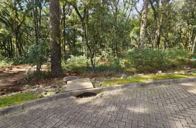 Terreno em condomínio fechado à venda na Rua José Pedro Piva, 6, Parque Pinheiro Grosso, Canela