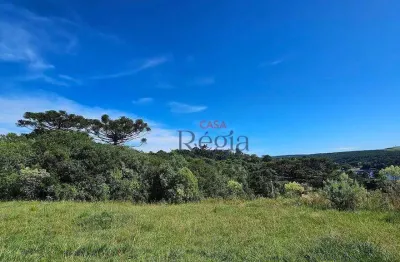 Casa com 2 dormitórios à venda, 115 m² por r$ 550.000,00 - distrito eletra - são francisco de paula/rs