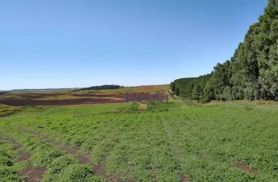 Sítio à venda, 600000 m² por r$ 5.300.000,00 - lajeado grande - são francisco de paula/rs