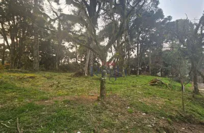 Terreno à venda, 407 m² por r$ 309.488,00 - são luiz - canela/rs