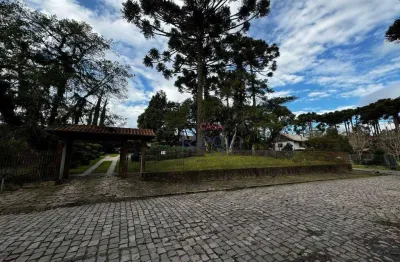 Casa com 4 dormitórios à venda, 269 m² por r$ 2.999.000,00 - vila suiça - canela/rs