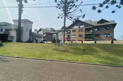 Terreno à venda, 701 m² por r$ 1.400.000,00 - centro - canela/rs