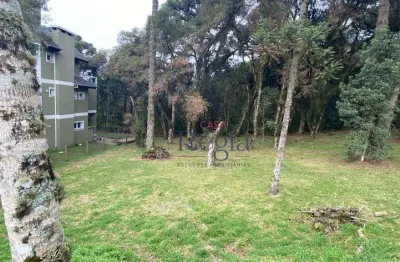 Terreno à venda, 595 m² por r$ 1.400.000,00 - centro - canela/rs