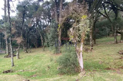 Terreno à venda, 595 m² por r$ 1.400.000,00 - centro - canela/rs