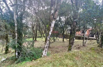 Terreno à venda, 707 m² por r$ 1.800.000,00 - centro - canela/rs