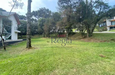 Terreno à venda, 739 m² por r$ 2.000.000,00 - centro - canela/rs