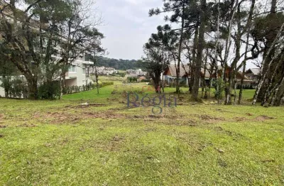 Terreno à venda, 795 m² por r$ 2.000.000,00 - centro - canela/rs