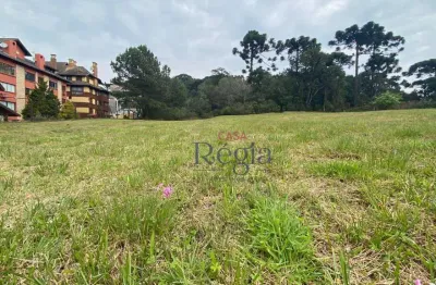 Terreno à venda, 1294 m² por r$ 2.400.000,00 - centro - canela/rs