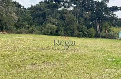 Terreno à venda, 1975 m² por r$ 3.000.000,00 - centro - canela/rs