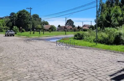 Terreno à venda, 767 m² por r$ 1.900.000 - vila luiza - canela/rs