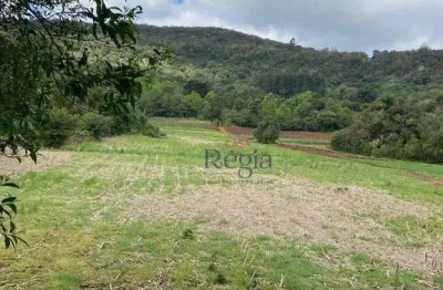 Sítio à venda, 58000 m² por r$ 2.204.000 - carazal - gramado/rs