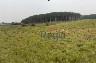 Área à venda – 3 hectares na rota do sol, são francisco de paula