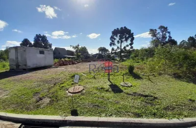 Terreno a venda no bairro eugênio ferreira em canela!