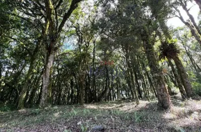 Terreno a venda no residencial pinheiro grosso em canela/rs!