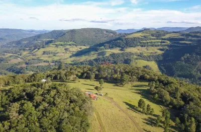 Chácara / sítio com 3 quartos à venda na Estrada Municipal São João - Moreiras, 7 de Setembro, Canela