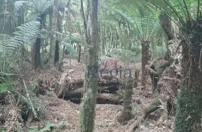 Terreno à venda no loteamento alpes – são francisco de paula/rs