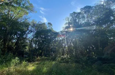 Terreno à venda no loteamento colinas – são francisco de paula/rs!