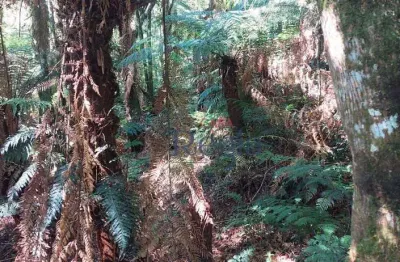 Terreno no loteamento alpes de são francisco, em são francisco de paula/rs!