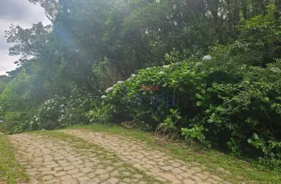 Terreno à venda no loteamento alpes de são francisco de paula/rs!