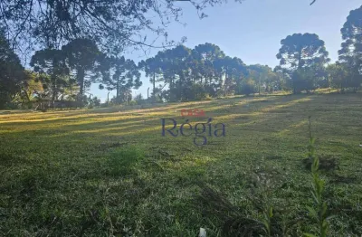 Terreno em condomínio fechado à venda na Rua Pinheiro Machado, 19, Canelinha, Canela