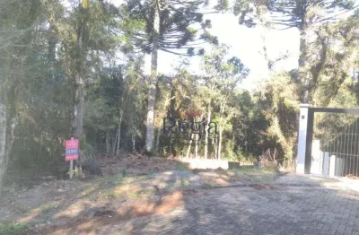 Terreno em condomínio fechado à venda na Rua Dos Pessegueiros, 13, Vivendas do Arvoredo, Gramado
