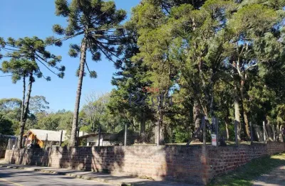 Terreno à venda, 1050m² de alto padrão - palace hotel - canela/rs!