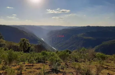 Chácara / sítio com 4 quartos à venda na Linha Gonçalves, Criúva, Caxias do Sul