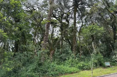 Terreno em condomínio fechado à venda na Rua José Pedro Piva, 18, Bosque Sinoserra, Canela