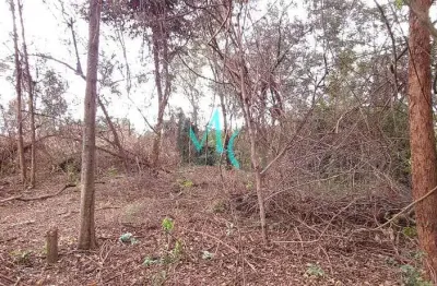 Área para alugar, 2400 m² por r$ 11.830,00/mês - campo grande - rio de janeiro/rj