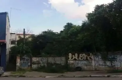 Terreno para alugar, 1542 m² por r$ 113.000,00 - ermelino matarazzo - são paulo/sp