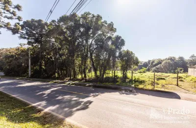 Terreno à venda, 6.972 m² privativos  del rey, são josé dos pinhais, pr