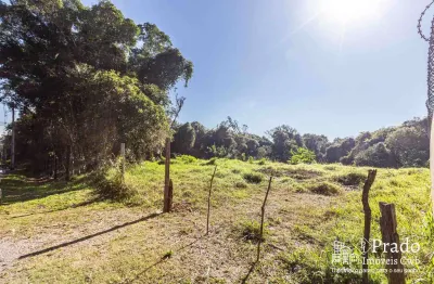 Terreno à venda, 6.972 m² privativos  del rey, são josé dos pinhais, pr